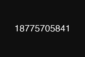 18775705841
