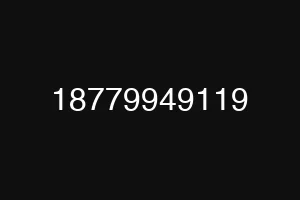 18779949119