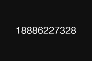 18886227328