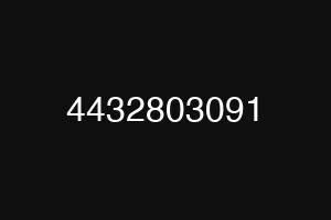 4432803091