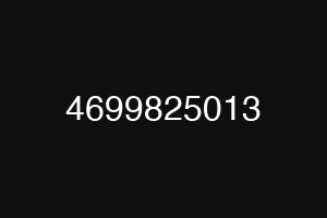 4699825013