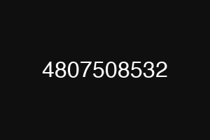 4807508532