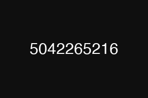 5042265216
