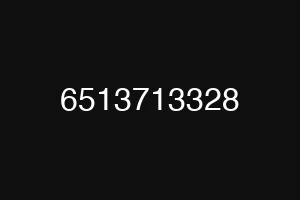 6513713328
