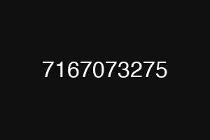 7167073275