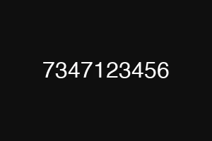 7347123456