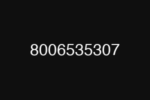 8006535307