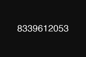 8339612053