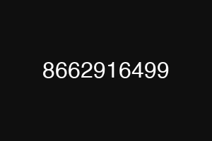 8662916499