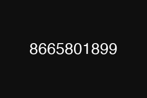 8665801899