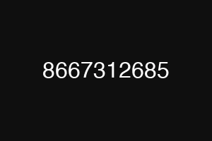 8667312685