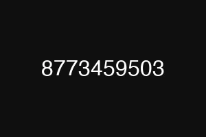 8773459503