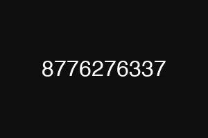 8776276337