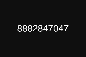 8882847047