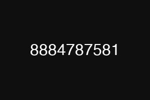 8884787581