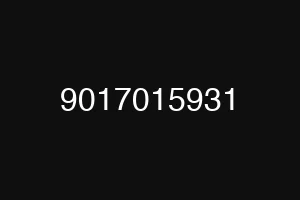 9017015931